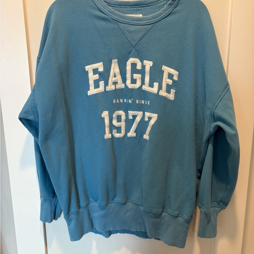 American Eagle Outfitters Oversized Blue Crew Neck Sweater